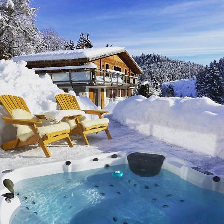 Appartement De Montagne Au Chalet De Snow Xonrupt-Longemer Exterior foto